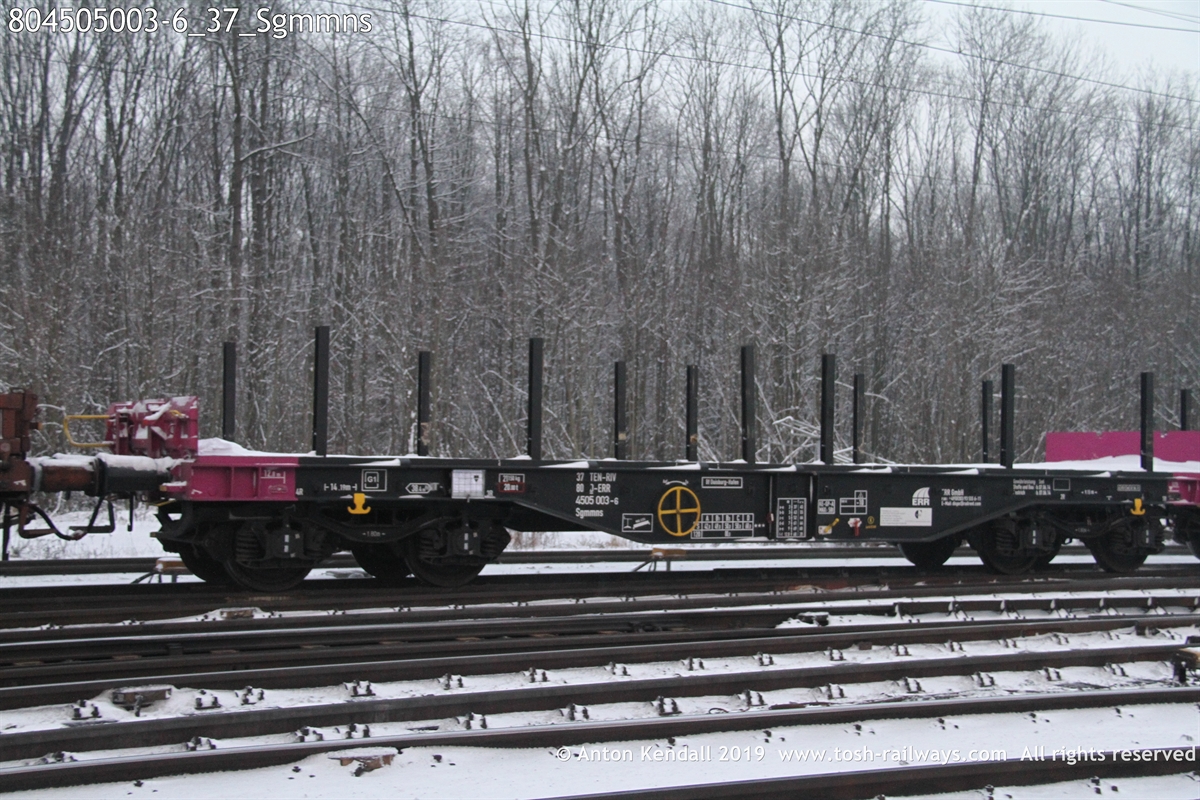 804505003-6_37_Sgmmns.JPG